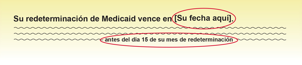 Su redeterminación de Medicaid vence en [Your Date Here  (Su fecha aquí)]... antes del día 15 de su mes de redeterminación.